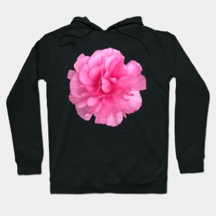 Pink Ranunculus Close-up Pic Hoodie